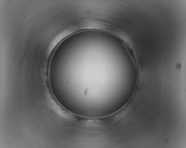 X0000111921138200907271242