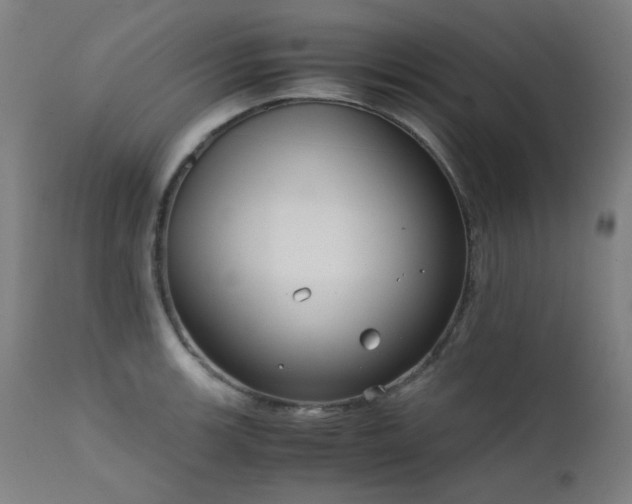 X0000111921139200907271242