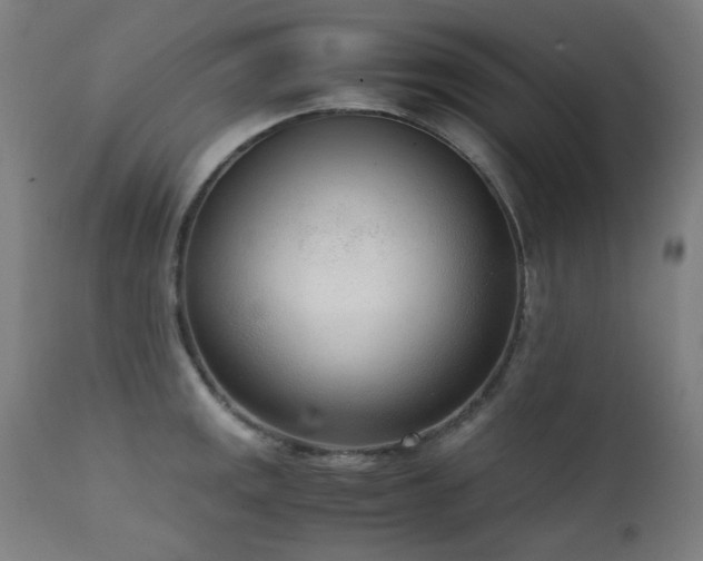X0000111921141200907271242