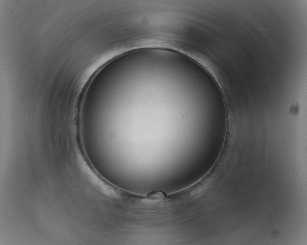 X0000111921142200907271242