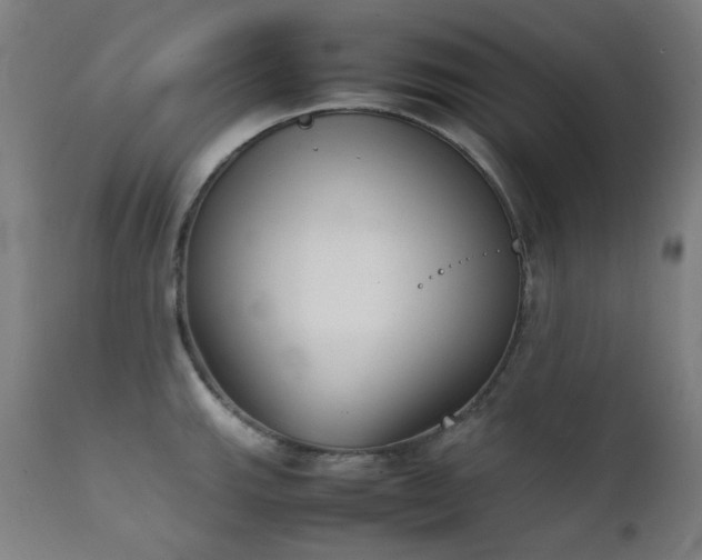 X0000111921143200907271242