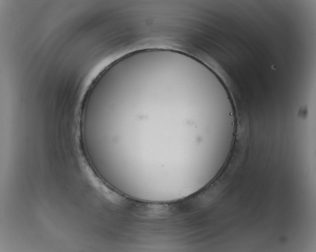 X0000111921144200907271242