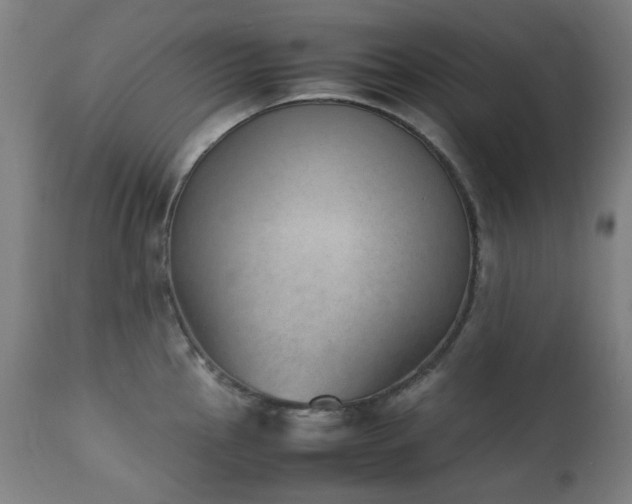 X0000111921145200907271242