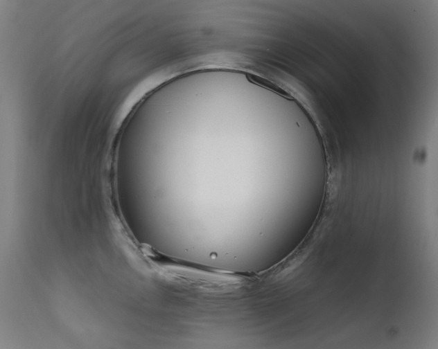 X0000111921146200907271242