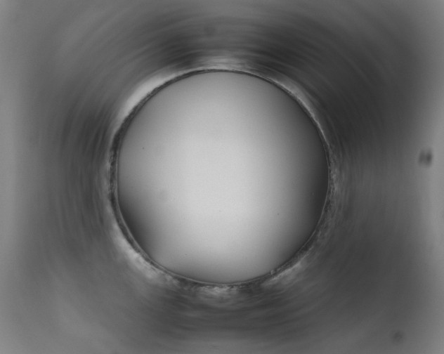 X0000111921147200907271242