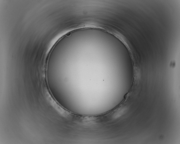 X0000111921148200907271242