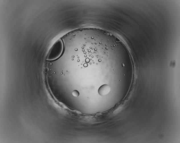 X0000111921149200907271242