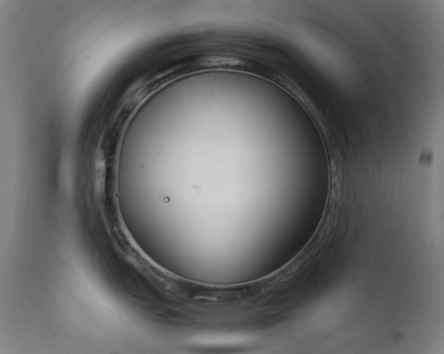 X0000111921151200907271242