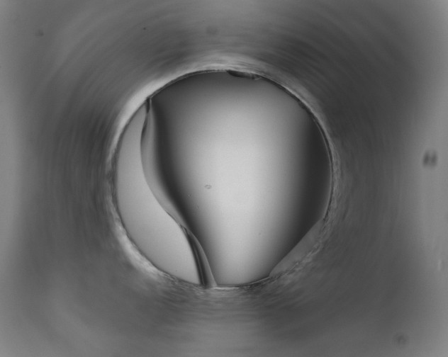 X0000111921152200907271242