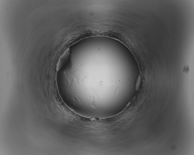 X0000111921153200907271241