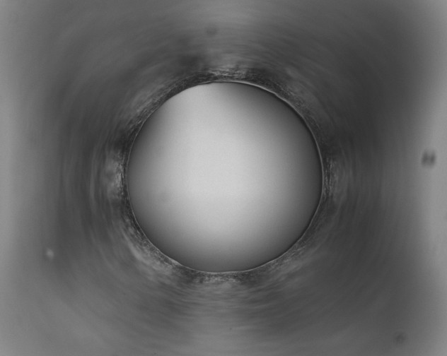 X0000111921154200907271241