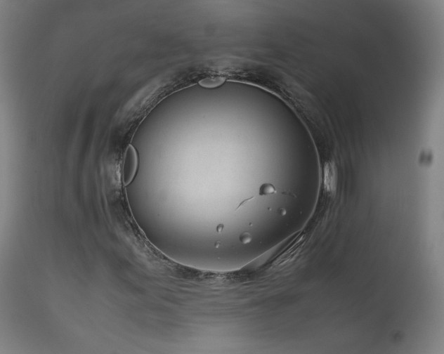 X0000111921155200907271241