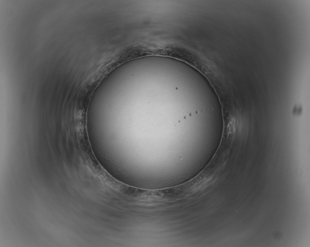 X0000111921156200907271241