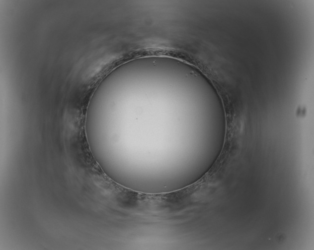 X0000111921157200907271241