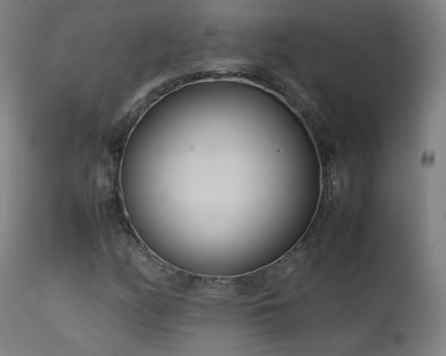 X0000111921158200907271241