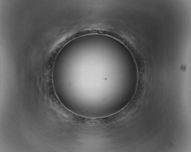 X0000111921159200907271241