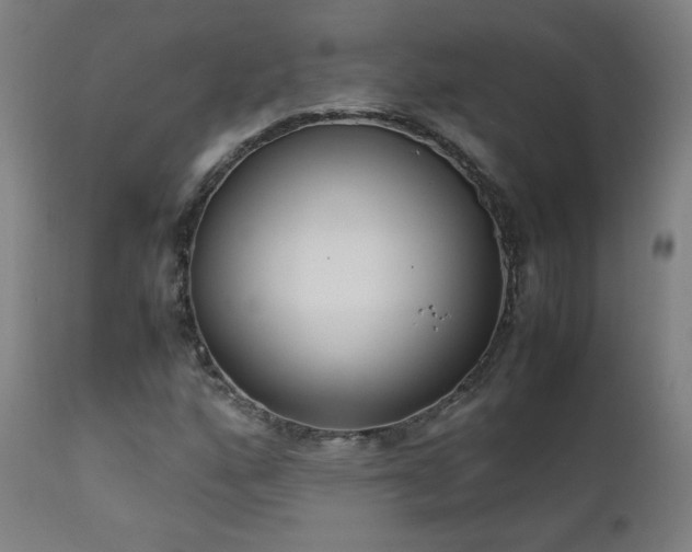 X0000111921160200907271241