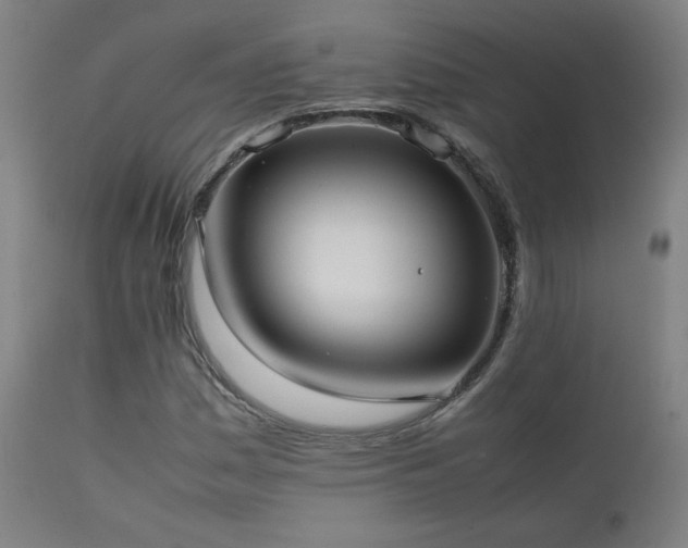 X0000111921161200907271241