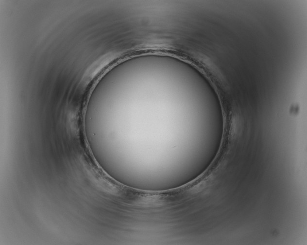 X0000111921162200907271241