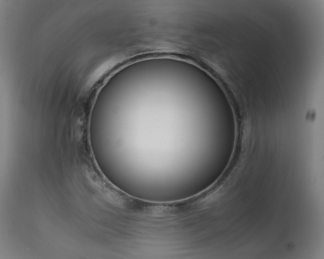X0000111921163200907271241