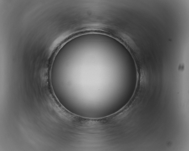 X0000111921164200907271241