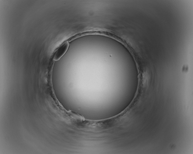 X0000111921165200907271241