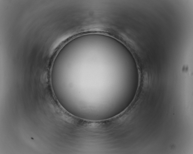 X0000111921166200907271241