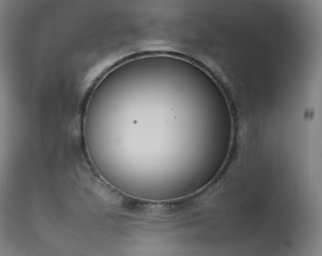 X0000111921167200907271241