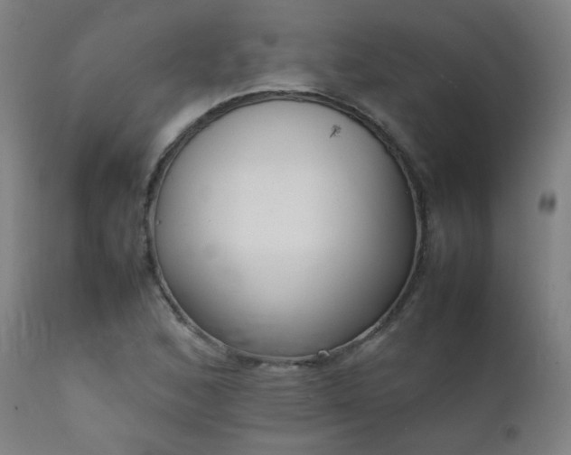 X0000111921168200907271241