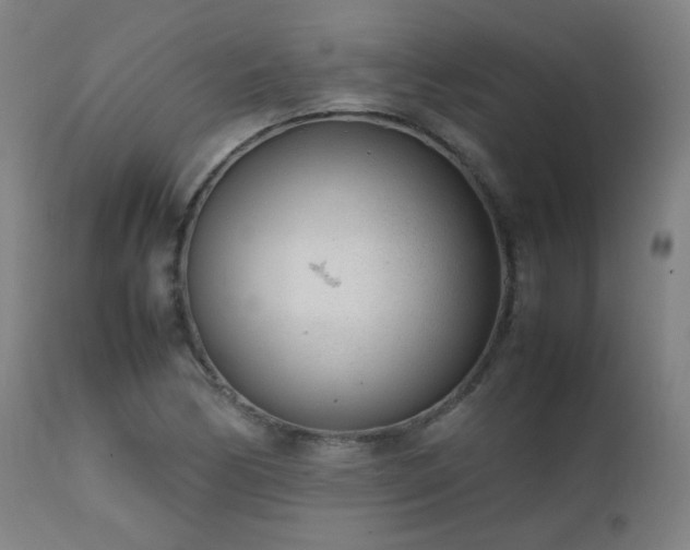 X0000111921170200907271241