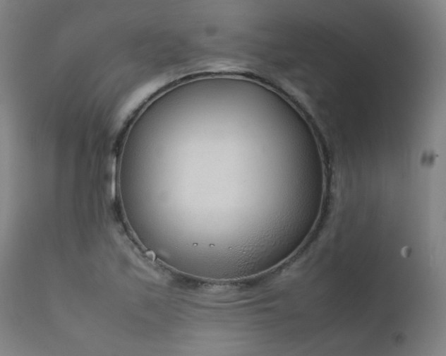 X0000111921171200907271241
