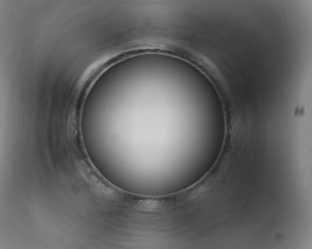 X0000111921172200907271241