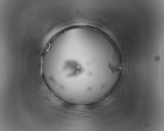 X0000111921175200907271241