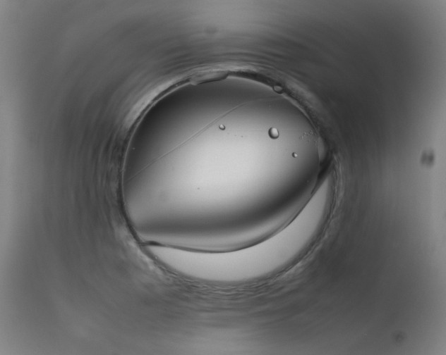 X0000111921177200907271241