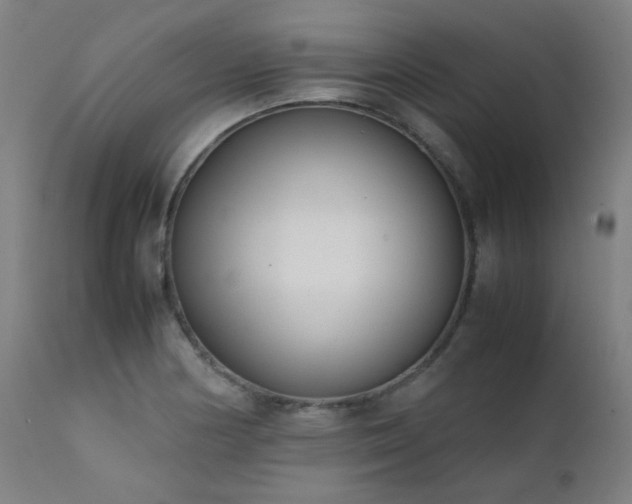 X0000111921178200907271241