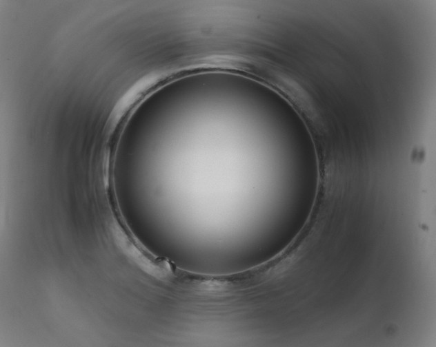 X0000111921180200907271241