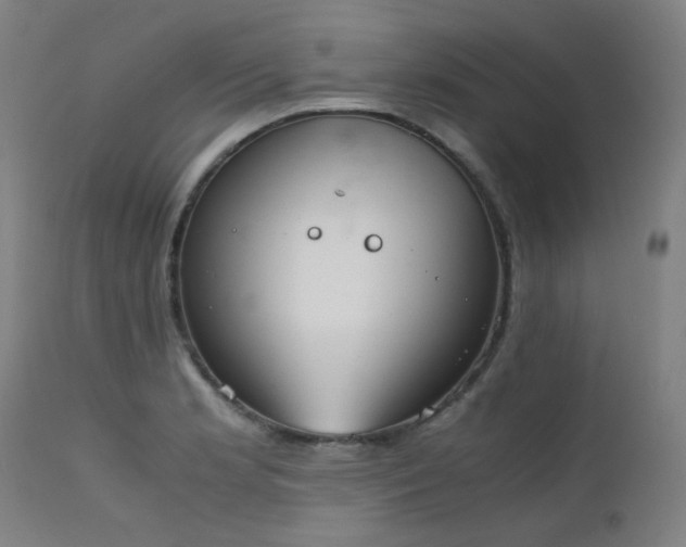 X0000111921181200907271241