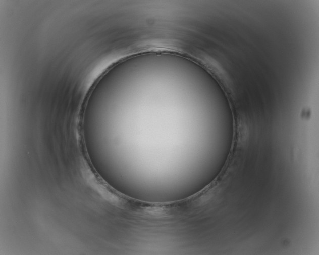 X0000111921182200907271241