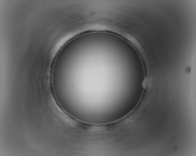 X0000111921183200907271241