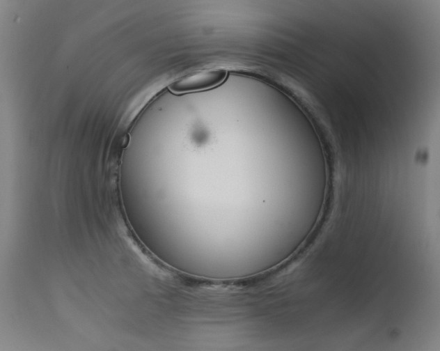 X0000111921185200907271241