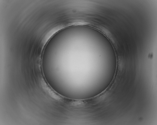X0000111921186200907271241