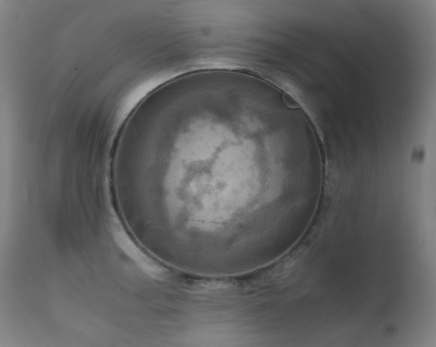 X0000111921187200907271241
