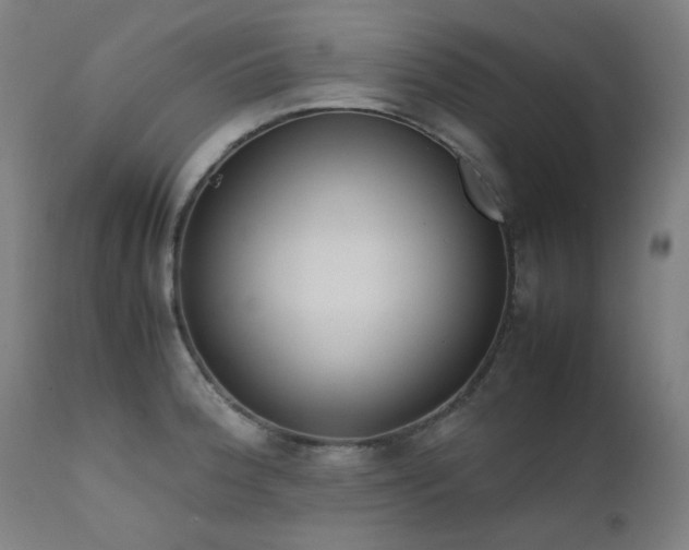 X0000111921188200907271241