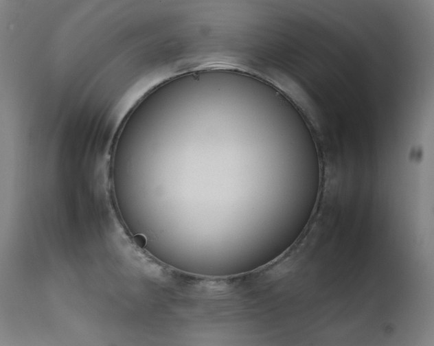 X0000111921190200907271241
