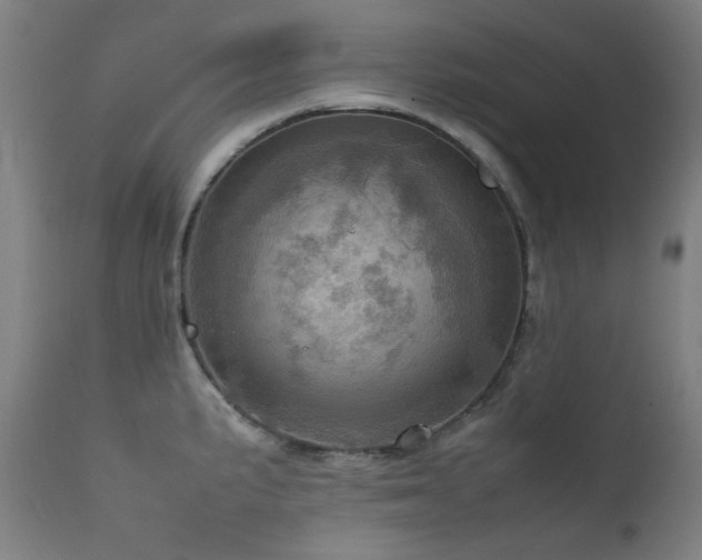 X0000111921191200907271241