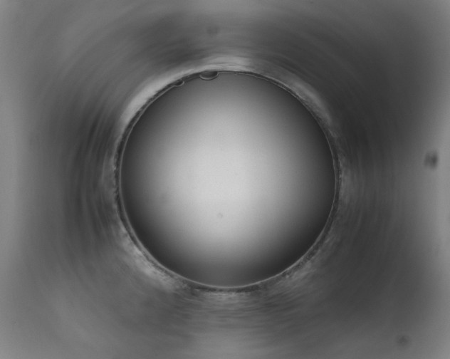 X0000111921192200907271241