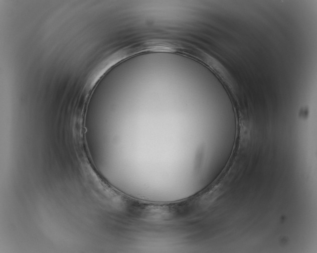 X0000111921194200907271241