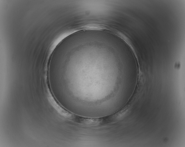 X0000111921195200907271241