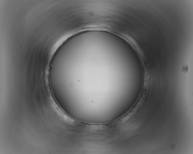 X0000111921196200907271241