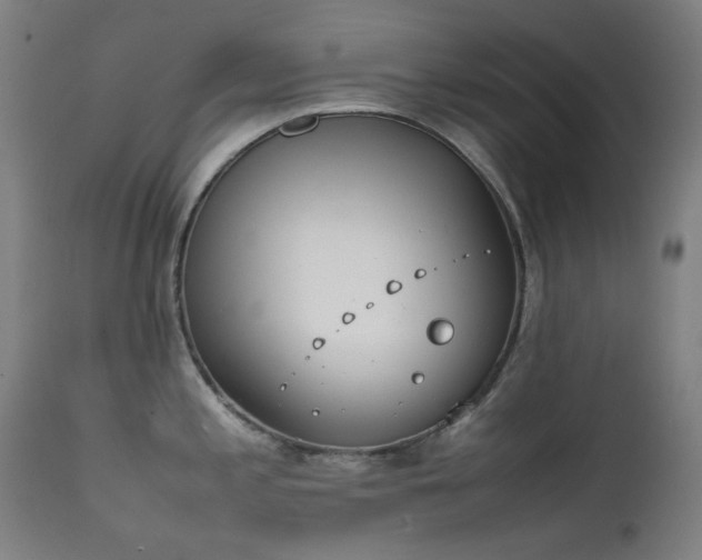 X0000111921197200907271241